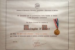 Medaglia d'oro